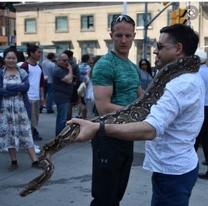 Meet your Posher, James